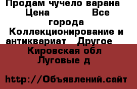 Продам чучело варана. › Цена ­ 15 000 - Все города Коллекционирование и антиквариат » Другое   . Кировская обл.,Луговые д.